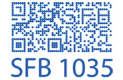 [Translate to en:] Logo des SFB 1035